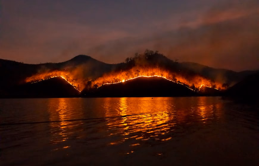 A photographer carefully documenting wildfire aftermath with protective gear
